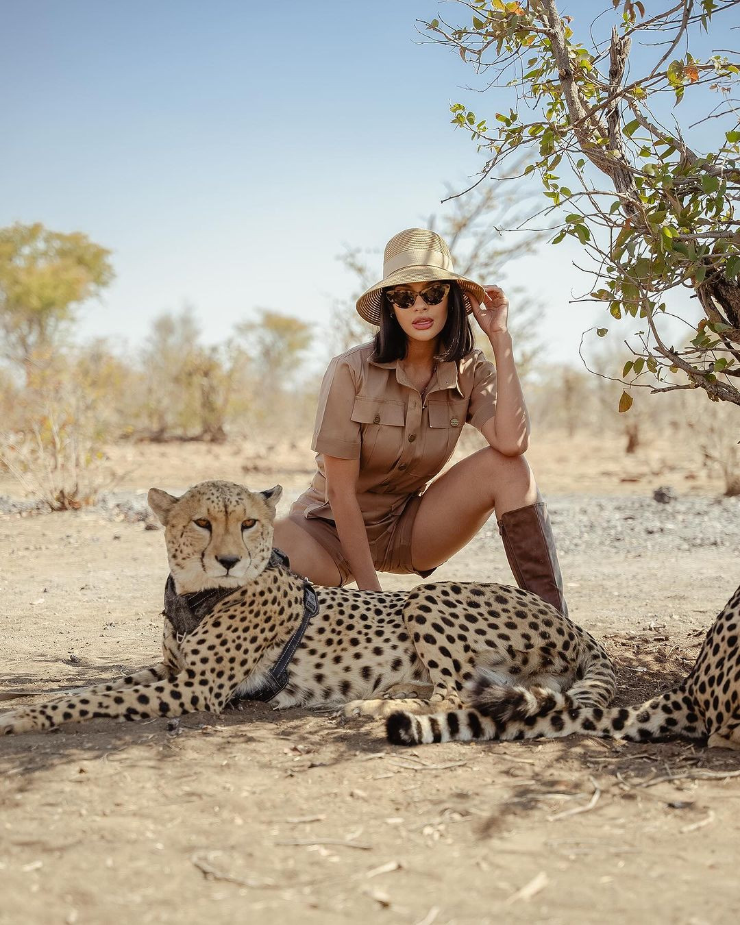 Hoa hậu Hoàn vũ 2023 Sheynnis Palacios chụp ảnh cùng báo săn cheetah trong chuyến công tác tại Zimbabwe.