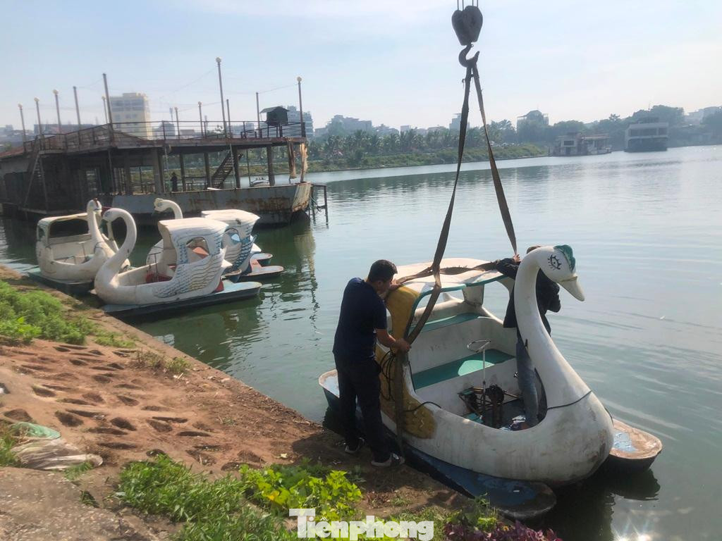 Cẩu các thuyền, thiên nga đạp nước lên bờ