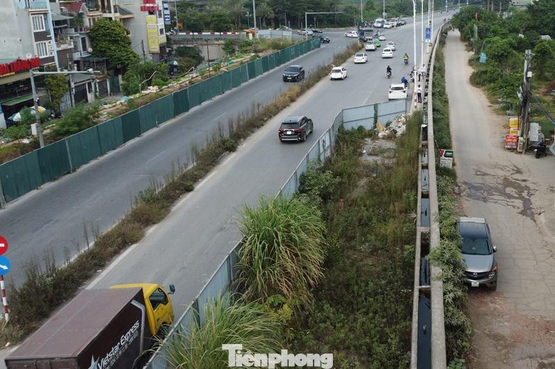 Hàng rào phần đường giáp bờ đê đã dựng lâu nay, hiện cỏ dại đã bao phủ mặt bằng.