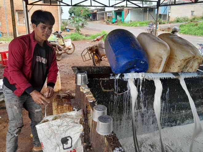 Người dân chăm sóc cao su thời kỳ thu hoạch. (Ảnh: K GỬIH/TTXVN)