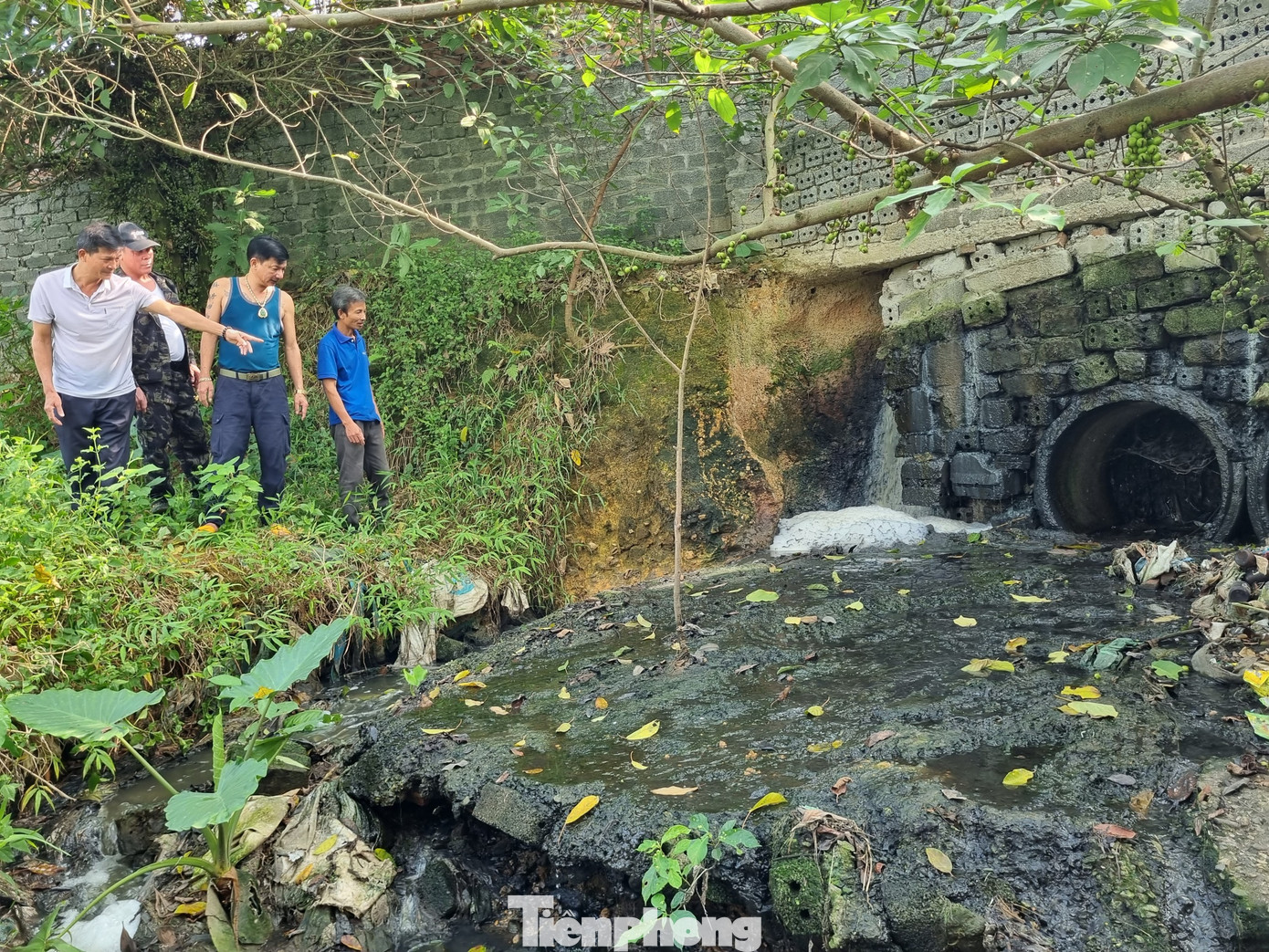 Theo phản ánh của người dân, từ năm 2019, chất thải từ trại chăn nuôi của Trung đoàn 102 xả trực tiếp ra suối Vai Réo, không qua xử lý ,làm cho nước suối ô nhiễm nặng, bốc mùi, ảnh hưởng đến cuộc sống của người dân và các mô hình sản xuất nông nghiệp.