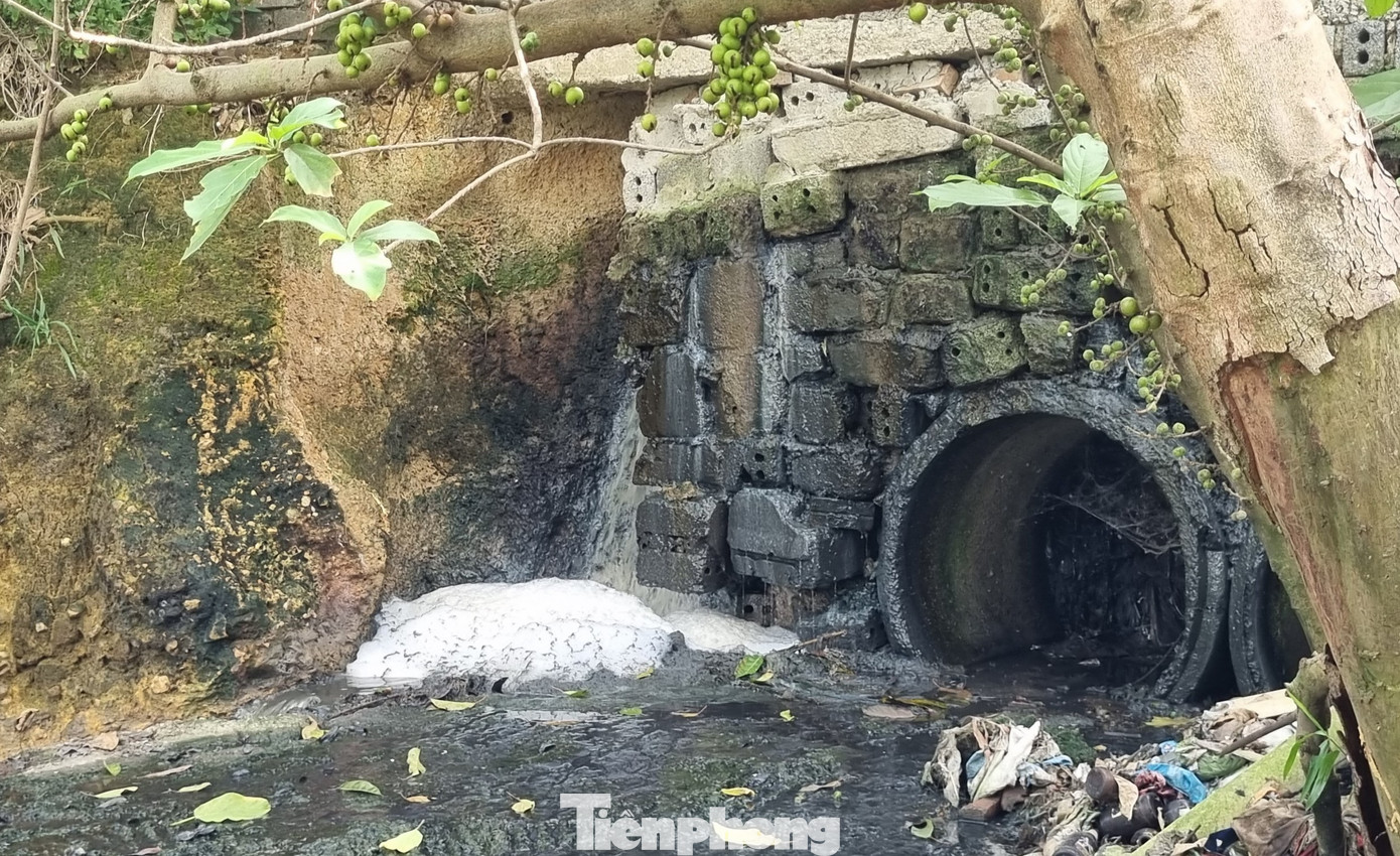 Trước những phản ánh của nhân dân, ngày 17/11/2023, phóng viên Tiền Phong đã tiếp cận khu vực xả thải. Đầu miệng cống còn phân gia súc màu xanh xả ra, sủi bọt trắng, mùi hôi nồng nặc.