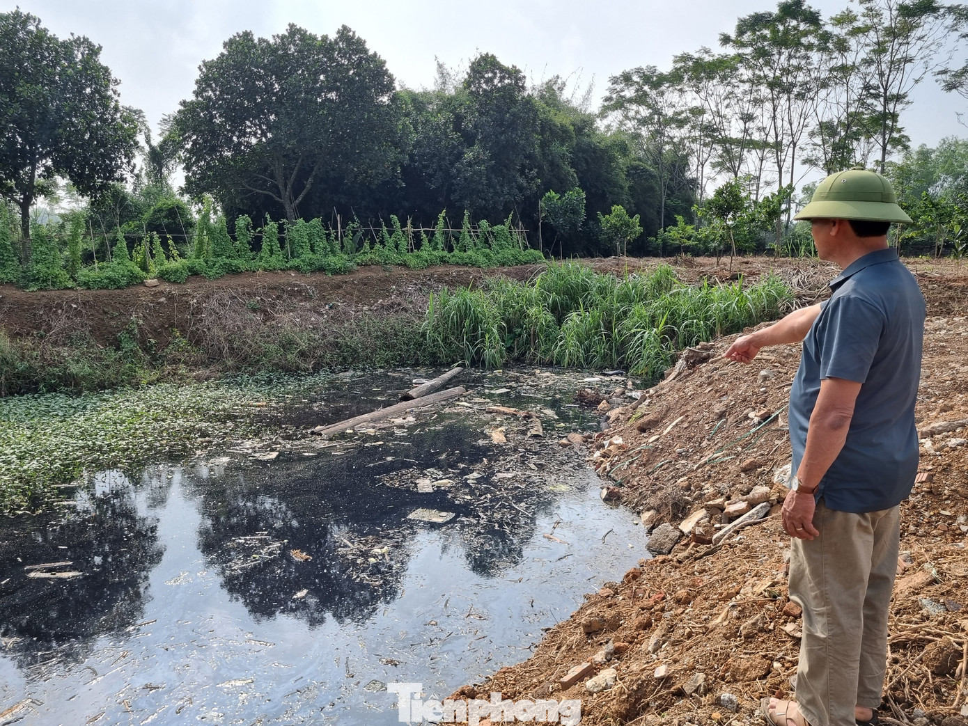 Ông Vương Văn Đạt, Phó Giám đốc Hợp tác xã nông nghiệp Phú Cát cho hay: Hợp tác xã quản lý 200 héc ta đất trồng rau. Nguồn nước phục vụ canh tác dựa vào suối Vai Réo. Từ khi dòng suối bị "bức tử", hợp tác xã đã đầu tư khoan giếng nhưng không đáp ứng được nhu cầu sản xuất, nên phải dùng nước ô nhiễm tưới cho rau.