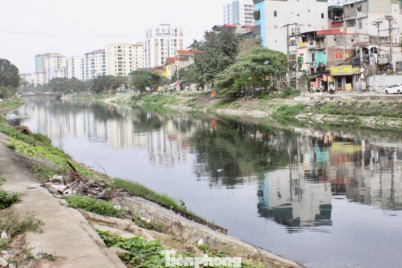 Nước sông Tô Lịch ô nhiễm nhiều năm nay, nghi chứa nhiều kim loại nặng và vi khuẩn.