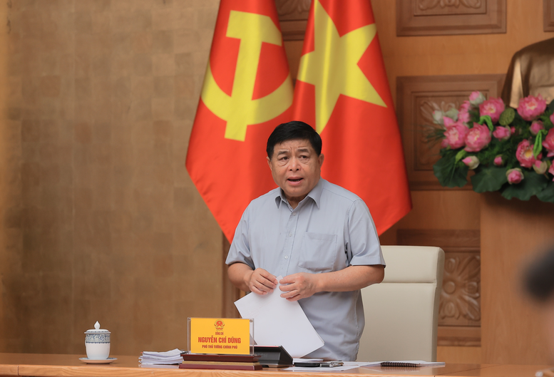 Phó Thủ tướng Nguyễn Chí Dũng phát biểu tại cuộc họp. Ảnh: VGP.