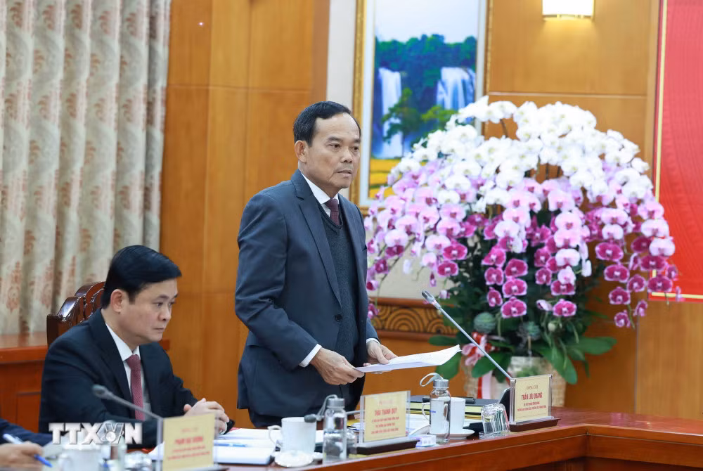 Trưởng Ban Chính sách, chiến lược Trung ương Trần Lưu Quang phát biểu tại buổi làm việc. Ảnh: TTXVN.