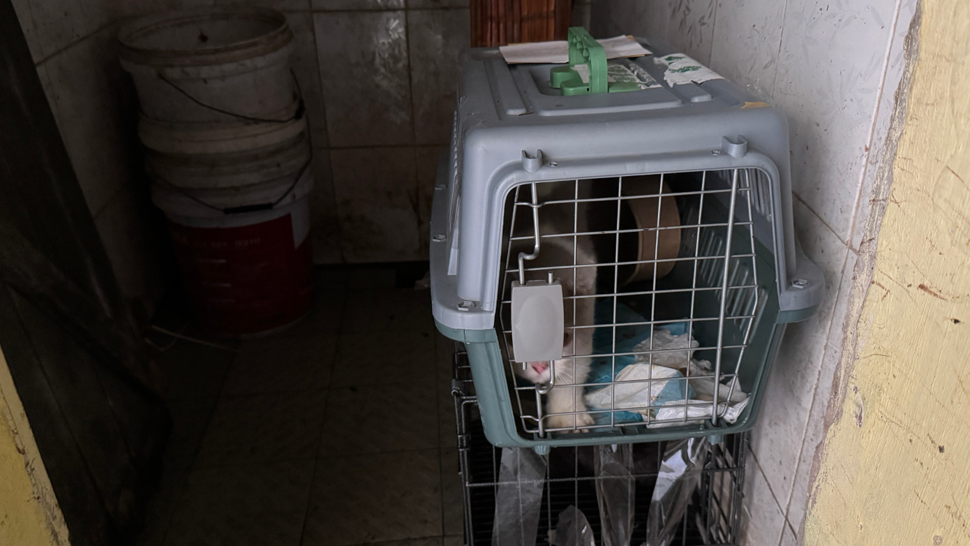 Một góc của nhà vệ sinh nữ đã được tận dụng là nơi giữ hàng cho một số đơn vị vận chuyển tại nhà ga Lê Duẩn. Ảnh: Hồng Ngọc.