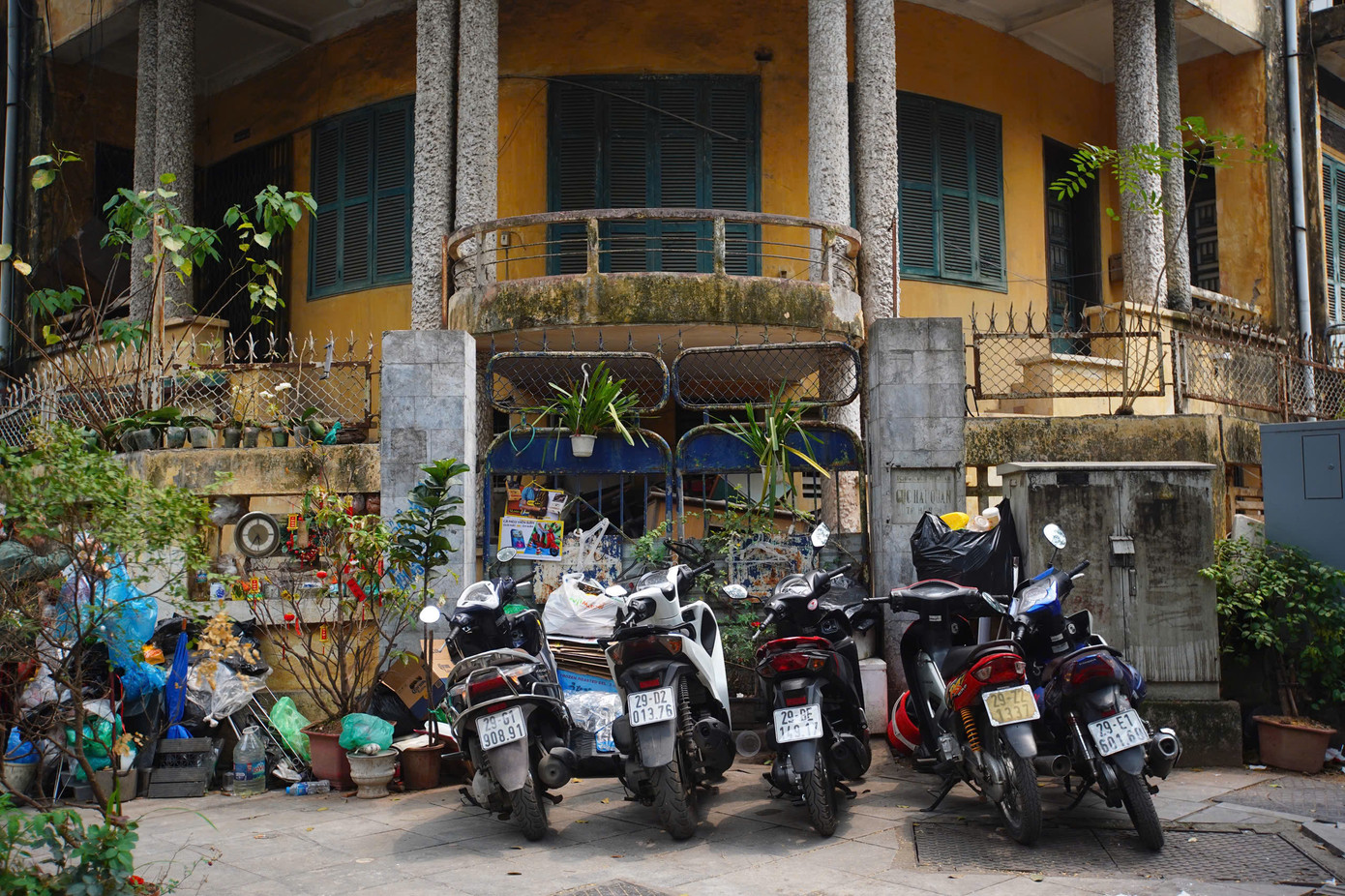 Toà biệt thự để hoang hoá nhiều năm.