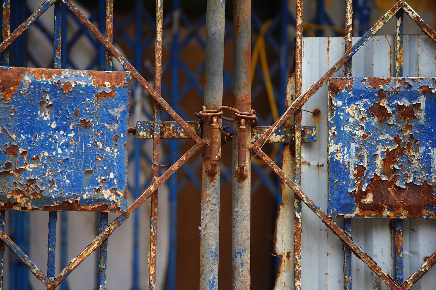 Theo tìm hiểu của phóng viên, hiện nay, thực hiện chương trình triển khai bảo tồn, chỉnh trang các biệt thự, công trình kiến trúc của thành phố Hà Nội, cơ quan chức năng đang hoàn tất thủ tục, đầu tư xây dựng một số biệt thự, trong đó có biệt thự số 159 Bà Triệu.