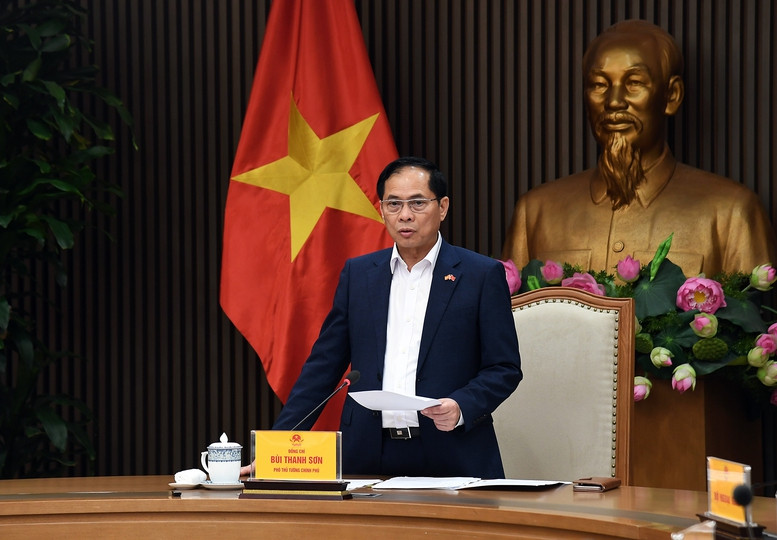 Phó Thủ tướng, Bộ trưởng Bộ Ngoại giao Bùi Thanh Sơn phát biểu tại cuộc họp. Ảnh: VGP.