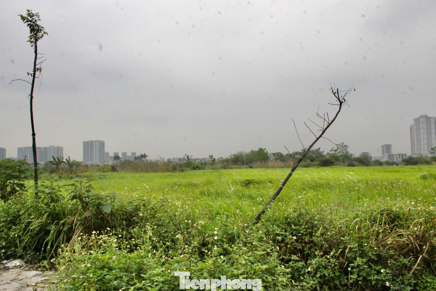 Theo tìm hiểu, dự án Công viên Chu Văn An dự kiến hoàn thành vào quý I năm 2020, nhưng đến nay, các hạng mục trong công viên vẫn ngổn ngang, “nằm im bất động”. Nhiều khu vực hoang hoá, cây dại mọc um tùm. Theo tìm hiểu, dự án Công viên Chu Văn An dự kiến hoàn thành vào quý I năm 2020, nhưng đến nay, các hạng mục trong công viên vẫn ngổn ngang, “nằm im bất động”. Nhiều khu vực hoang hoá, cây dại mọc um tùm.