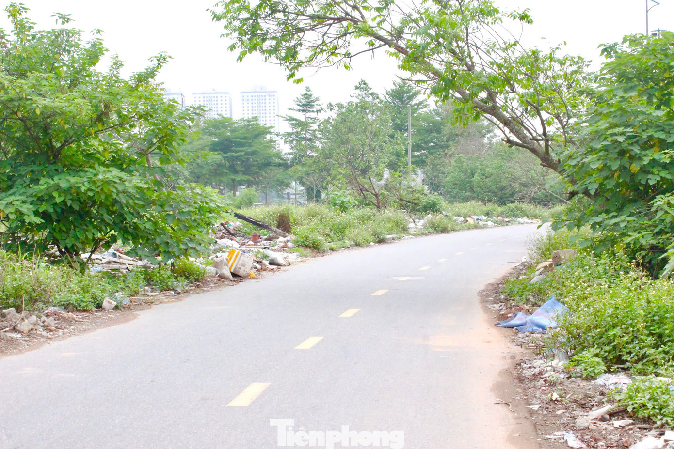 Theo tìm hiểu, dự án Công viên Chu Văn An dự kiến hoàn thành vào quý I năm 2020, nhưng đến nay, các hạng mục trong công viên vẫn ngổn ngang, “nằm im bất động”. Nhiều khu vực hoang hoá, cây dại mọc um tùm. Theo tìm hiểu, dự án Công viên Chu Văn An dự kiến hoàn thành vào quý I năm 2020, nhưng đến nay, các hạng mục trong công viên vẫn ngổn ngang, “nằm im bất động”. Nhiều khu vực hoang hoá, cây dại mọc um tùm.