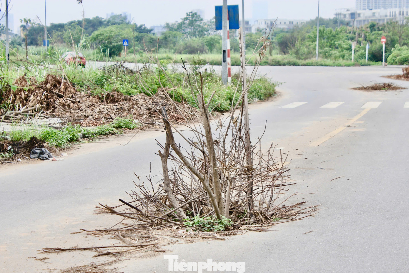 Trong khuôn viên dự án công viên, nhiều cống bị mất nắp, không có biển cảnh báo, gây nguy hiểm cho người dân. Trong khuôn viên dự án công viên, nhiều cống bị mất nắp, không có biển cảnh báo, gây nguy hiểm cho người dân.