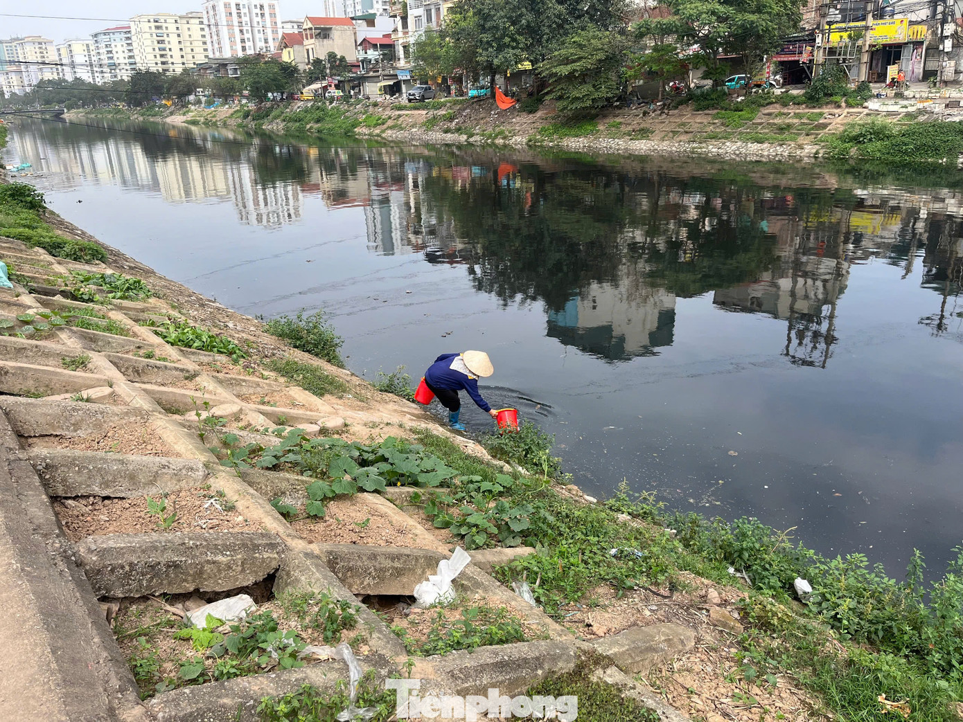 Trao đổi với phóng viên, một chuyên gia lĩnh vực dinh dưỡng, thực phẩm cho biết: Nguồn nước ô nhiễm ở sông Tô Lịch có nhiều chất nguy hiểm như kim loại nặng, vi sinh vật gây bệnh và các chất độc hại. Nếu như ăn phải những luống rau nhiễm phải những chất này có thể không gây triệu chứng ngay lập tức nhưng tích tụ lâu dài sẽ ảnh hưởng đến sức khỏe.
