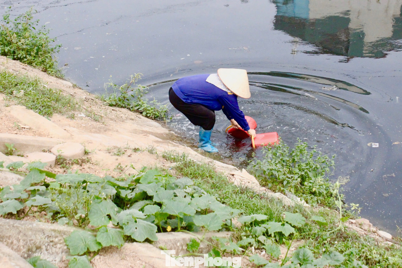Bà H. (60 tuổi), cho biết, mỗi ngày bà đều dùng xô múc nước sông để tưới cho vườn rau của mình, với nhiều loại rau như rau cải, khoai lang, bí đỏ. Theo bà H., gia đình bà và những người xung quanh thường xuyên sử dụng các loại rau này, đôi khi, có người hỏi mua, bà cũng bán.