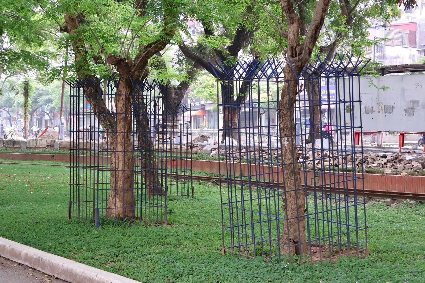 Một số cây xanh quý trong khuôn viên Công viên Thống nhất (Hà Nội) được hàn khung sắt quanh thân cây để bảo vệ.