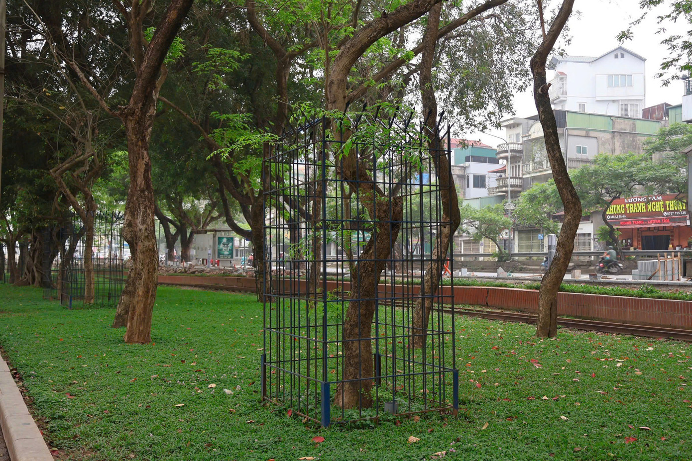 Theo chia sẻ của nhiều người dân quanh khu vực, việc này nhằm bảo vệ những cây quý khi hạ hàng rào công viên.