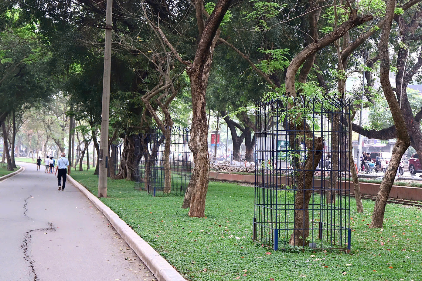 Một số cây xanh quý trong khuôn viên Công viên Thống nhất (Hà Nội) được hàn khung sắt quanh thân cây để bảo vệ.