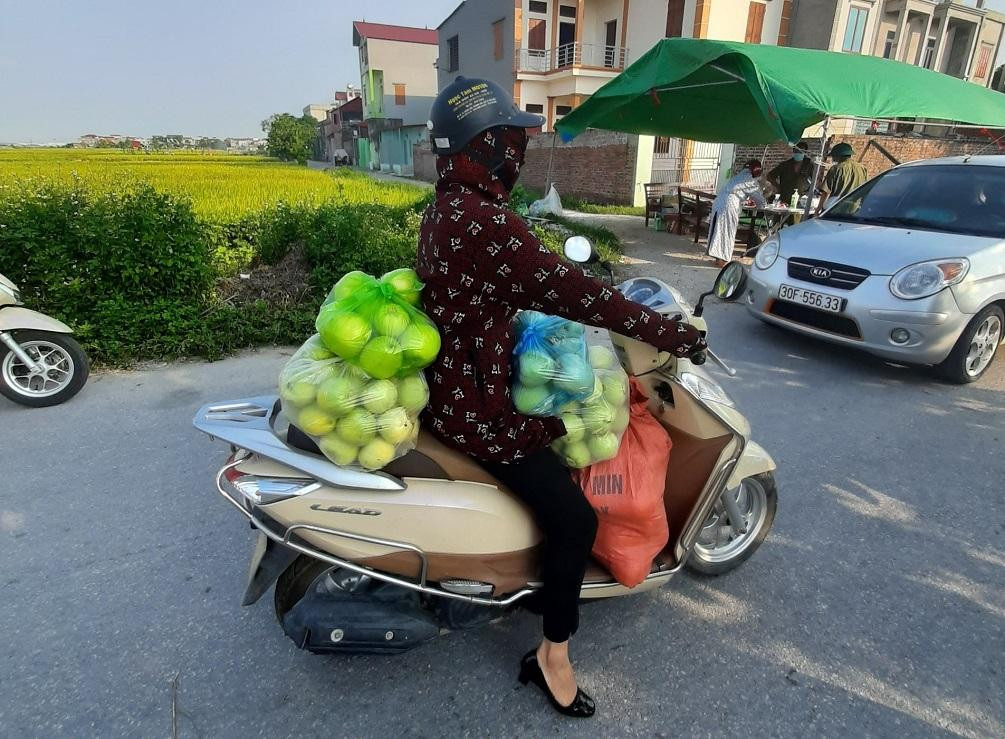 Thu hoạch, đi bán dưa giúp người bị cách ly. Thu hoạch, đi bán dưa giúp người bị cách ly.