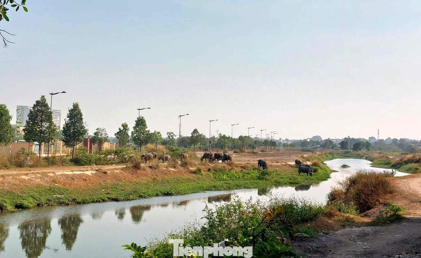 Khu quy hoạch xây dựng bệnh viện và một số công trình Nhà nước trên địa bàn phường Định Hòa (thành phố Thủ Dầu Một, tỉnh Bình Dương).