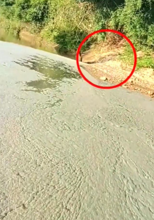 Vị trí xả thải của trại heo ra Sông Bé