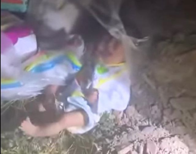 Bé gái sơ sinh được phát hiện. Bé gái sơ sinh được phát hiện.