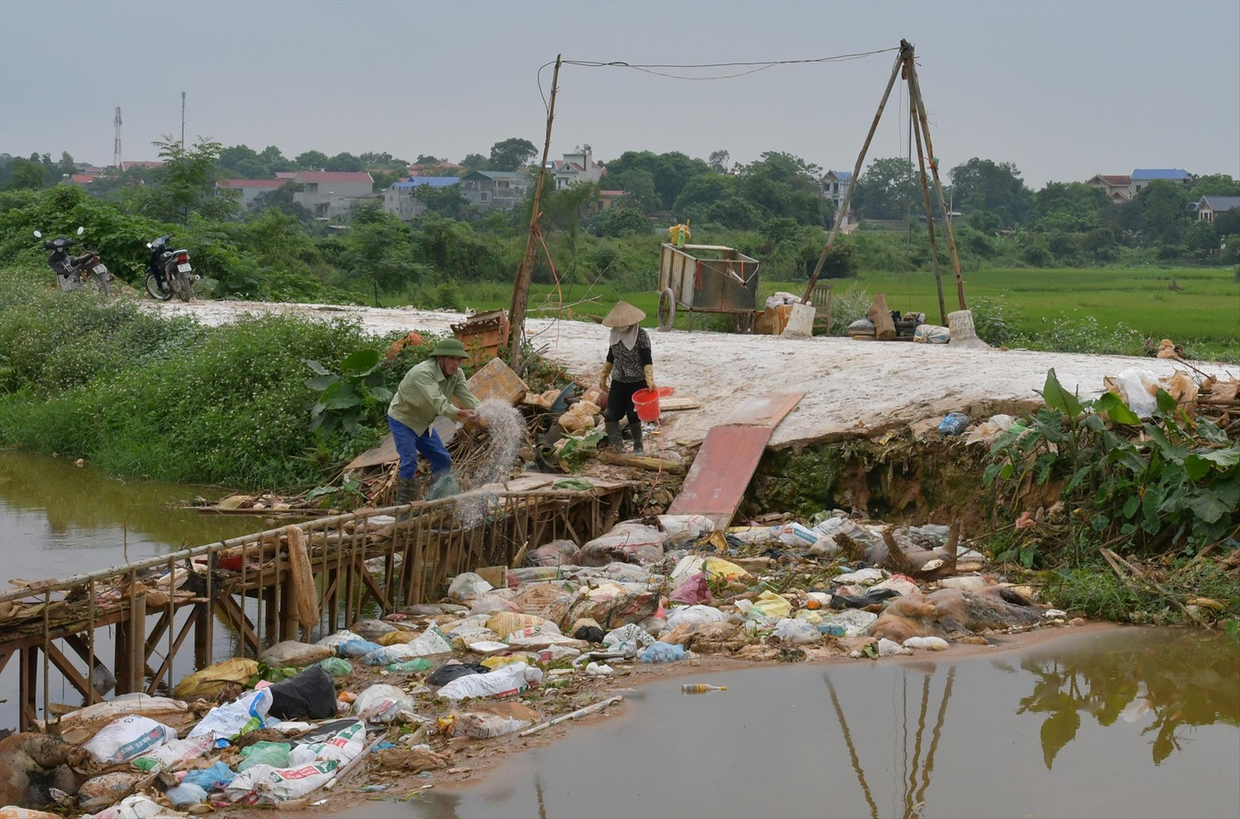 Dịch tả lợn châu phi lan rộng: Bộ Nông nghiệp bất lực? ảnh 2