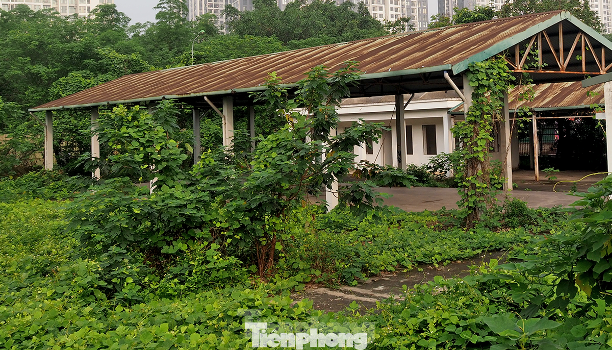 Dự án chợ Tây Mỗ dở dang, bỏ hoang nhiều năm.