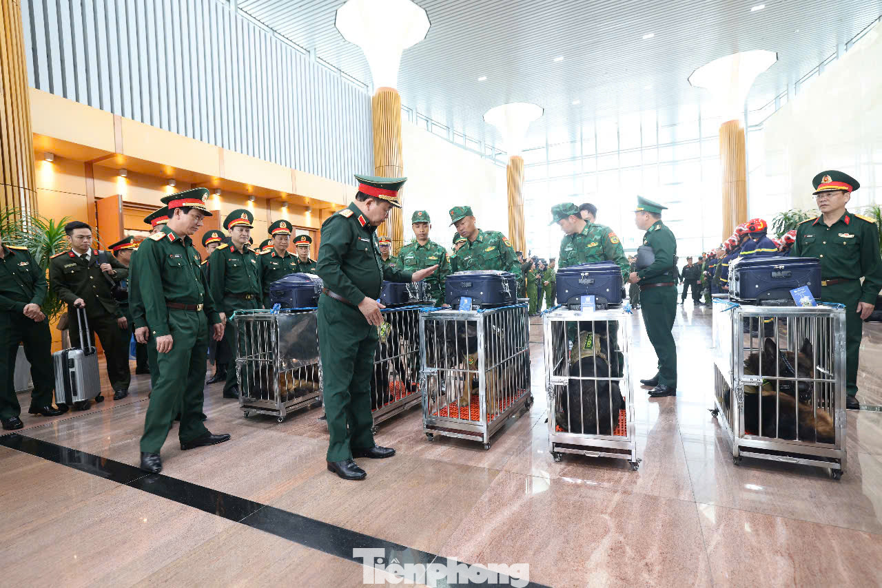 Đội tìm kiếm cứu nạn của Bộ đội Biên phòng lên đường tới Myanmar.