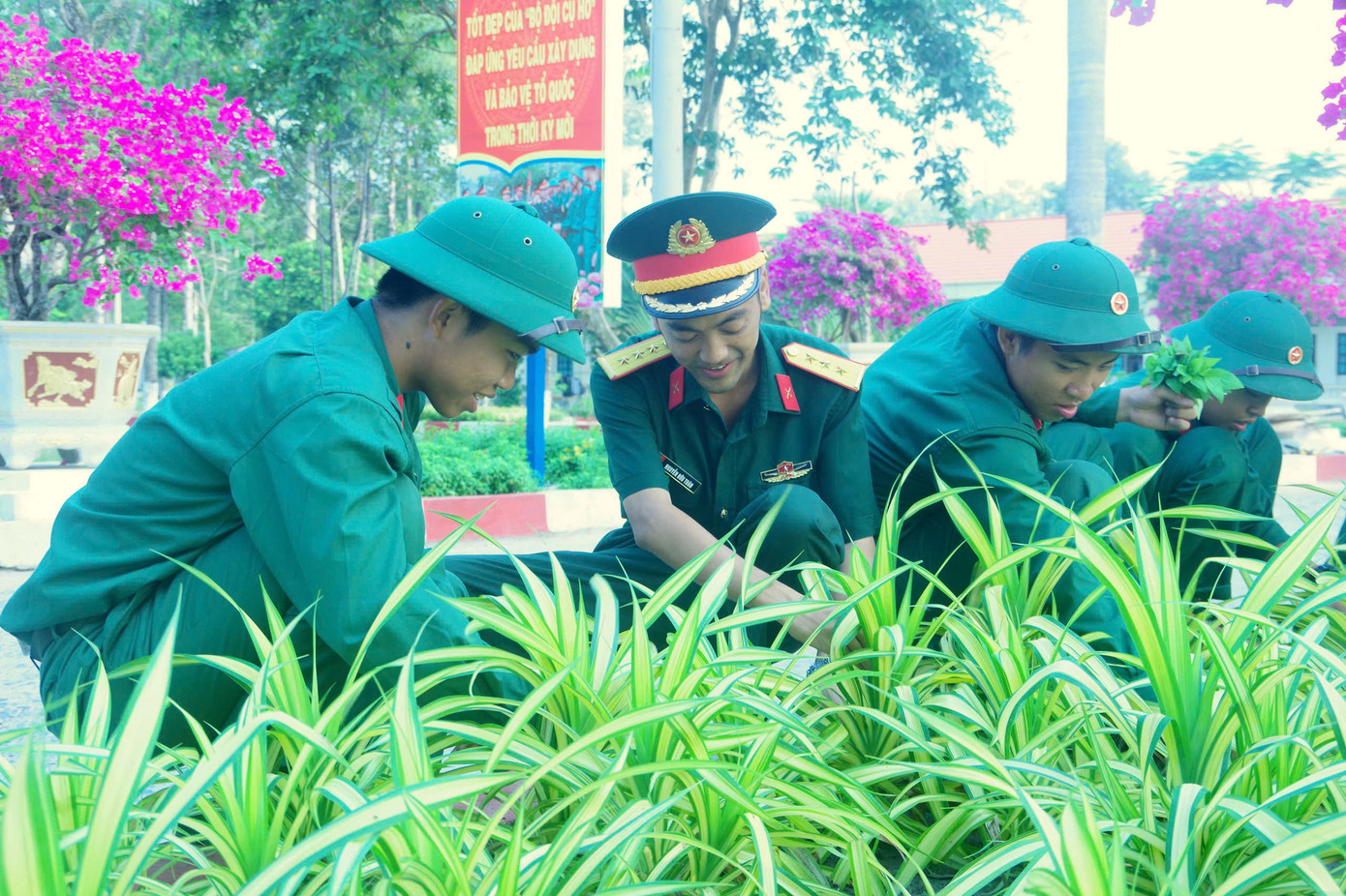 Cán bộ, thanh niên Sư đoàn 5 chăm sóc vườn hoa, cây cảnh sau giờ huấn luyện. Cán bộ, thanh niên Sư đoàn 5 chăm sóc vườn hoa, cây cảnh sau giờ huấn luyện.