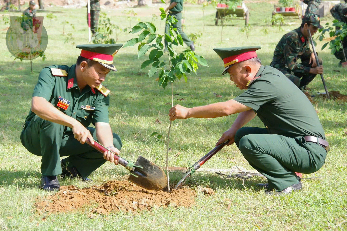 Chung tay trồng cây bảo vệ môi trường, chống biến đổi khí hậu và tham gia vệ sinh tuyến đường giao thông nông thôn.