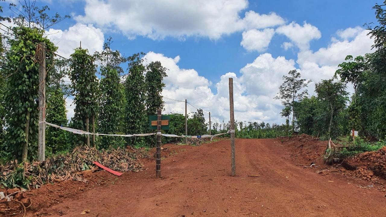 Người dân đóng cọc không cho phương tiện hoạt động.