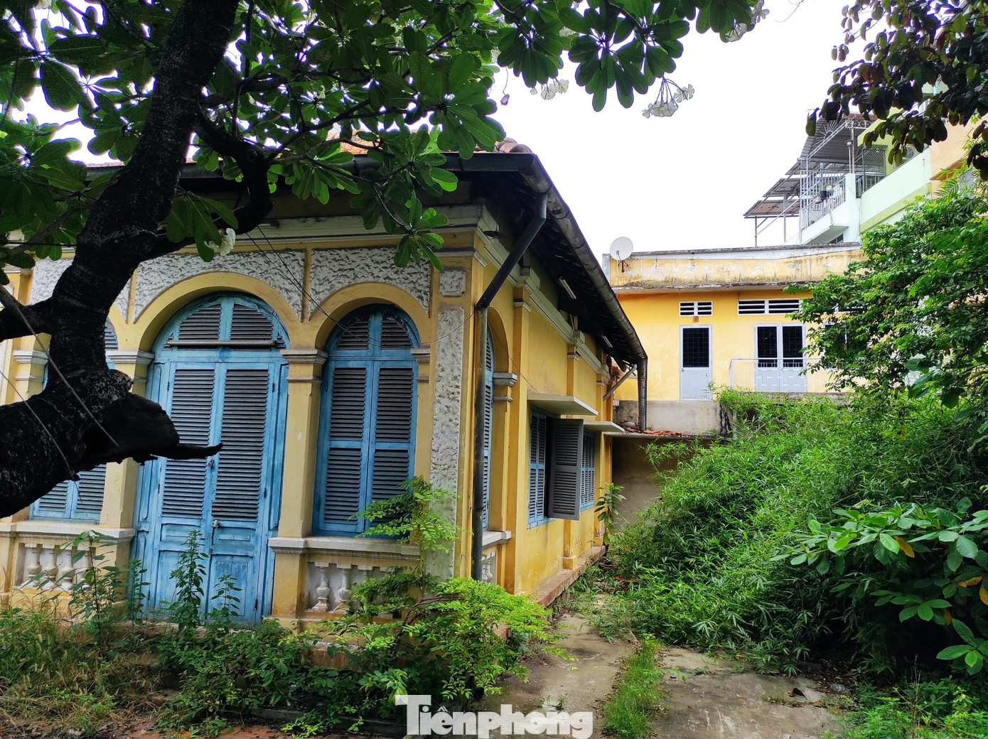 Căn biệt thự 89 Nơ Trang Long, quận Bình Thạnh được đề xuất xếp nhóm 1 để bảo tồn. Hiện tại xung quanh căn biệt thự này cỏ cây mọc um tùm, không có người sống bên trong. Ảnh: Hữu Huy