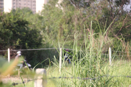 Đột nhập “chợ” đồng tính nam trên đại lộ hiện đại nhất Sài Gòn ảnh 1