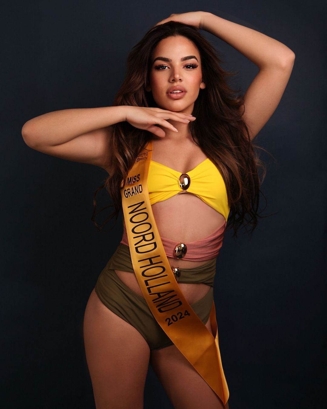 Tân Hoa hậu Hòa bình Hà Lan có gương mặt ấn tượng, cuốn hút, tuy nhiên sắc vóc của cô không được đánh giá cao. Trên các diễn đàn sắc đẹp, nhiều khán giả chê bai nhan sắc của Ashley Brown.