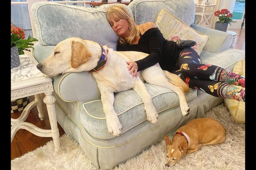 Sao gạo cội đoạt giải Oscar Goldie Hawn nghỉ ngơi trên ghế sô pha cùng thú cưng. Sao gạo cội đoạt giải Oscar Goldie Hawn nghỉ ngơi trên ghế sô pha cùng thú cưng.