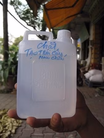 Dung dịch sền sệt như hồ dán giấy tập học sinh pha với nước phun vào trái cây kích thích mau chín