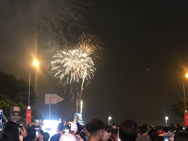 Chào năm mới Mậu Tuất 2018 ảnh 5