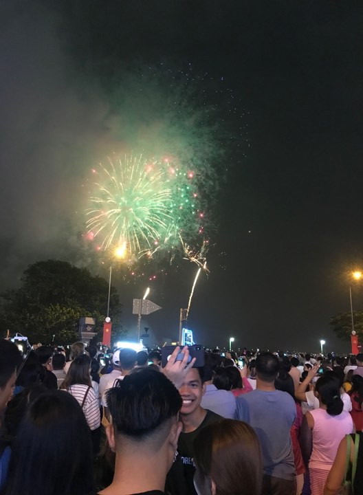 Chào năm mới Mậu Tuất 2018 ảnh 4