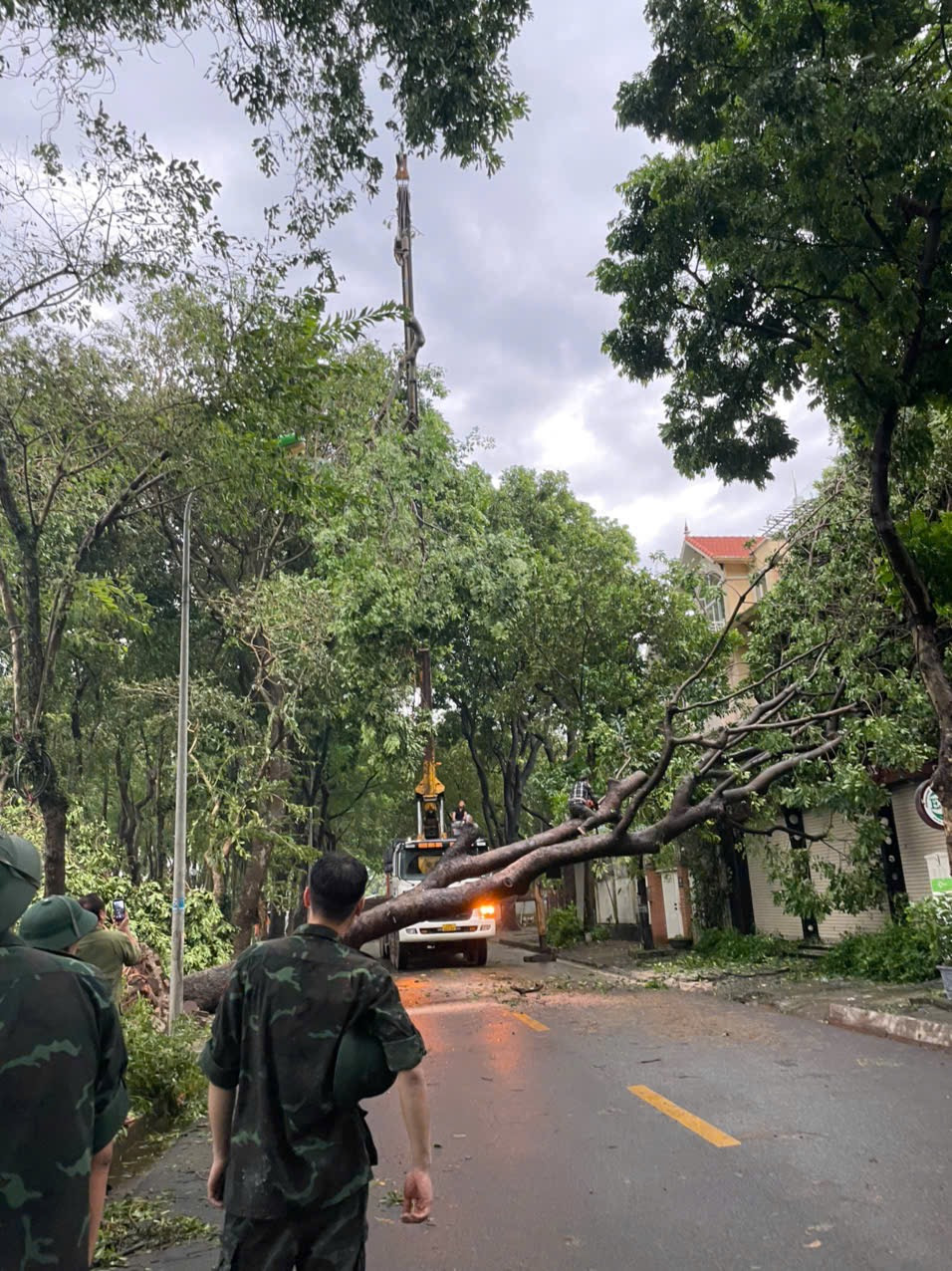 Xe cẩu được điều động xử lý cây gãy đổ to nằm ngang trên đường.