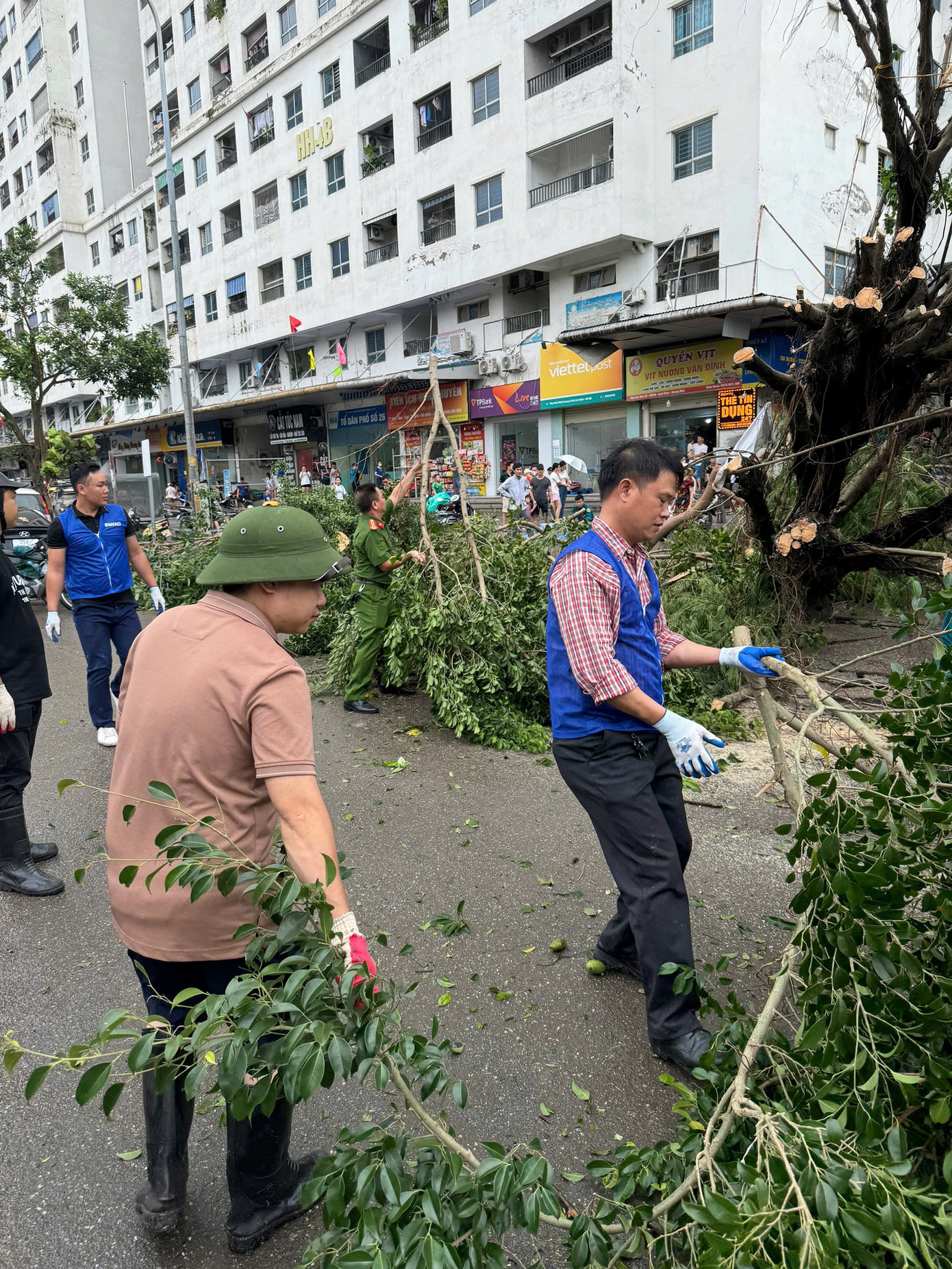 Xử lý cây gãy đổ tại khu đô thị HH Linh Đàm.