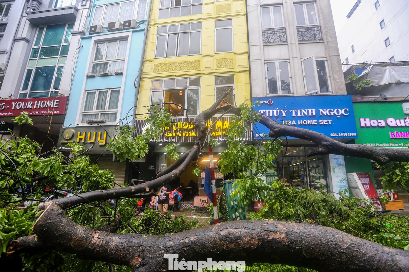 Nhiều ngôi nhà bị chắn bởi cây.