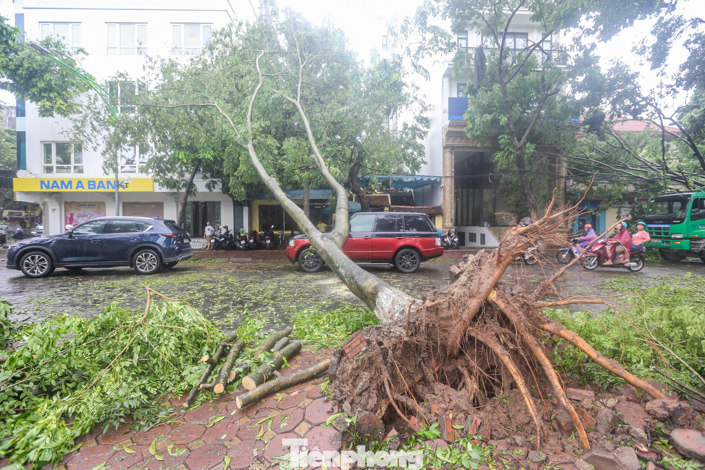 Cây đổ ngang ra đường, gây khó khăn cho các phương tiện.