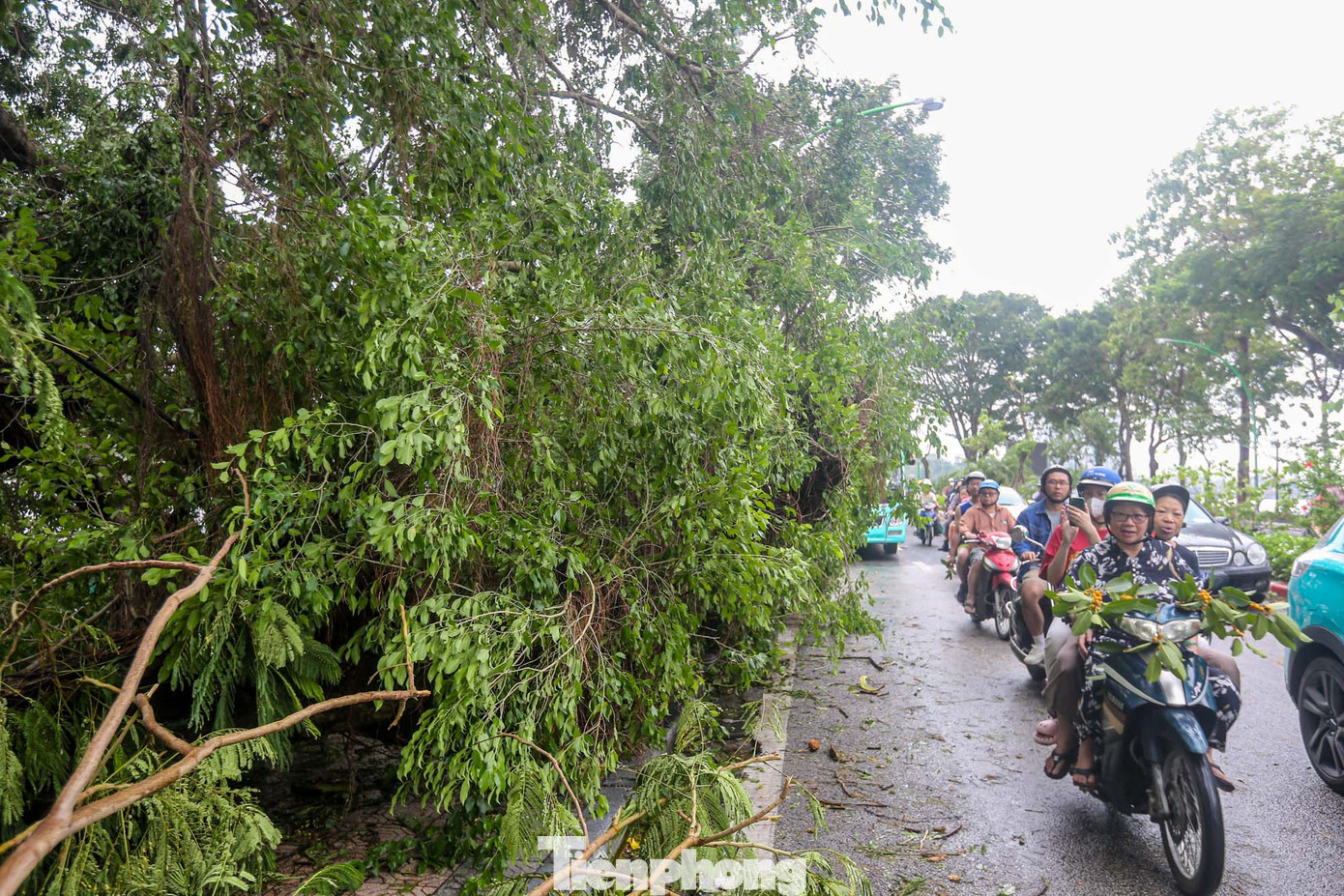 Nhiều người tỏ ra khá tiếc nuối khi đi qua khu vực này.