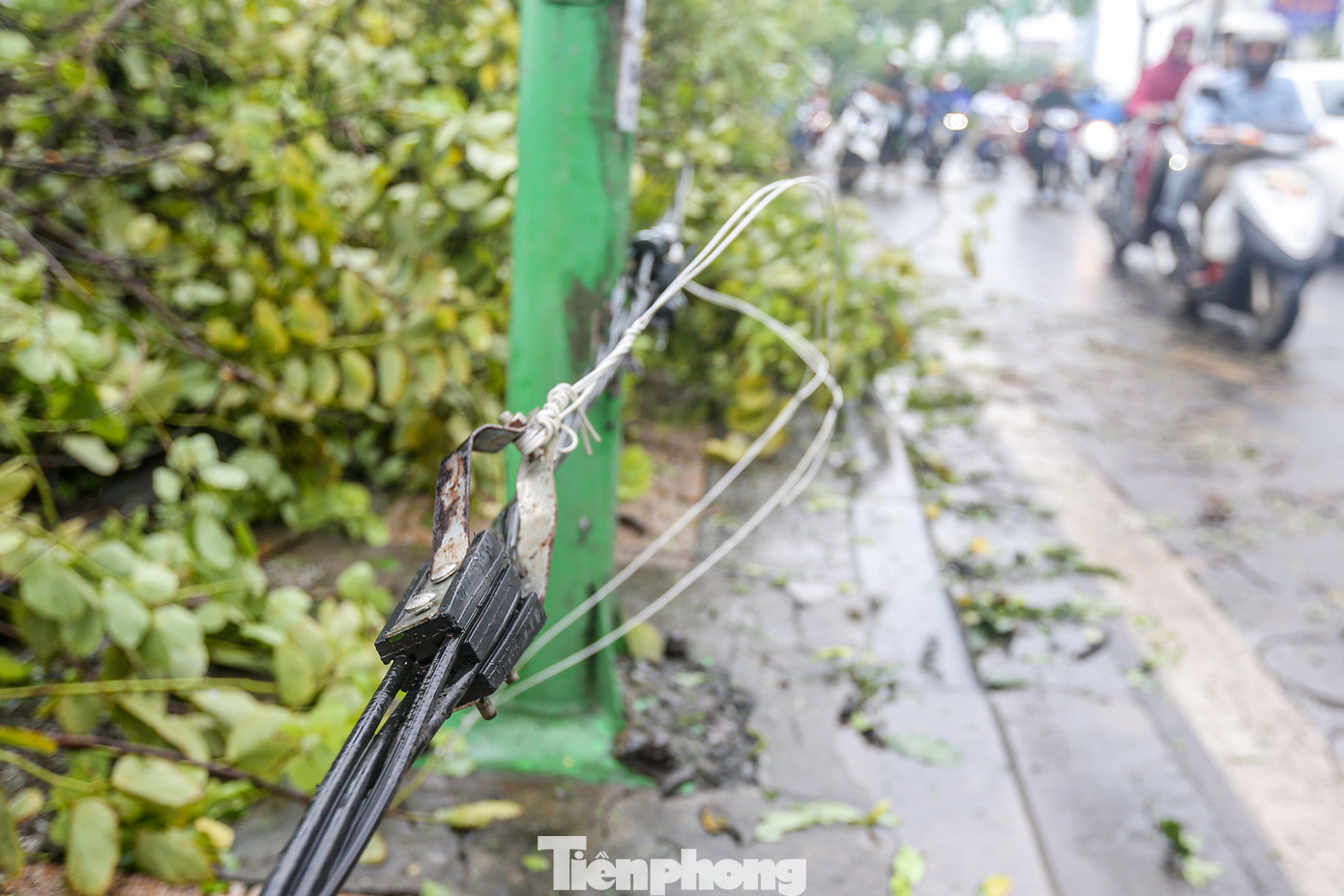 Dây điện văng xuống lòng đường.