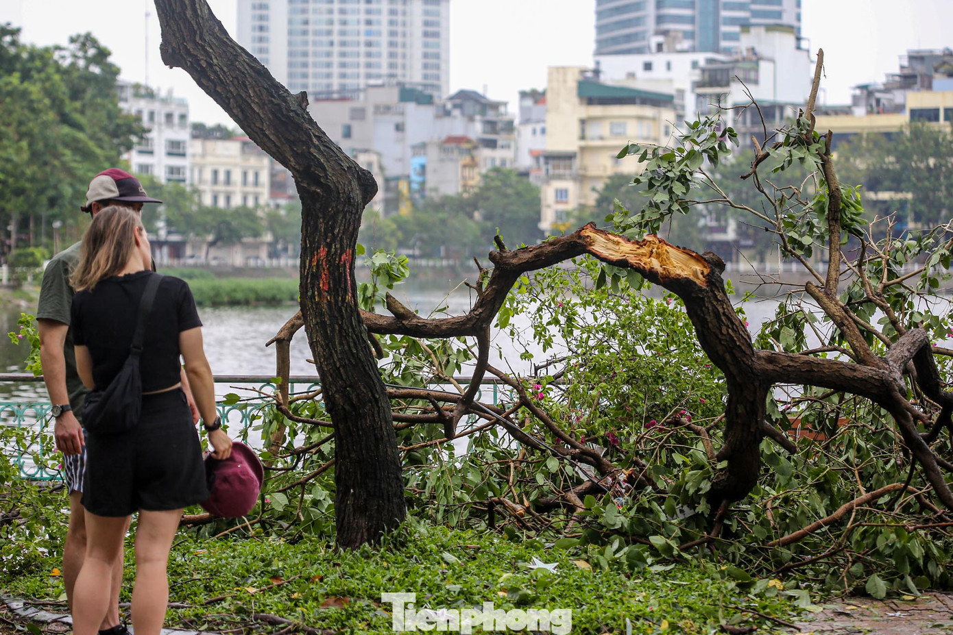 Vỉa hè đường Thanh Niên tan hoang sau cơn bão số 3.