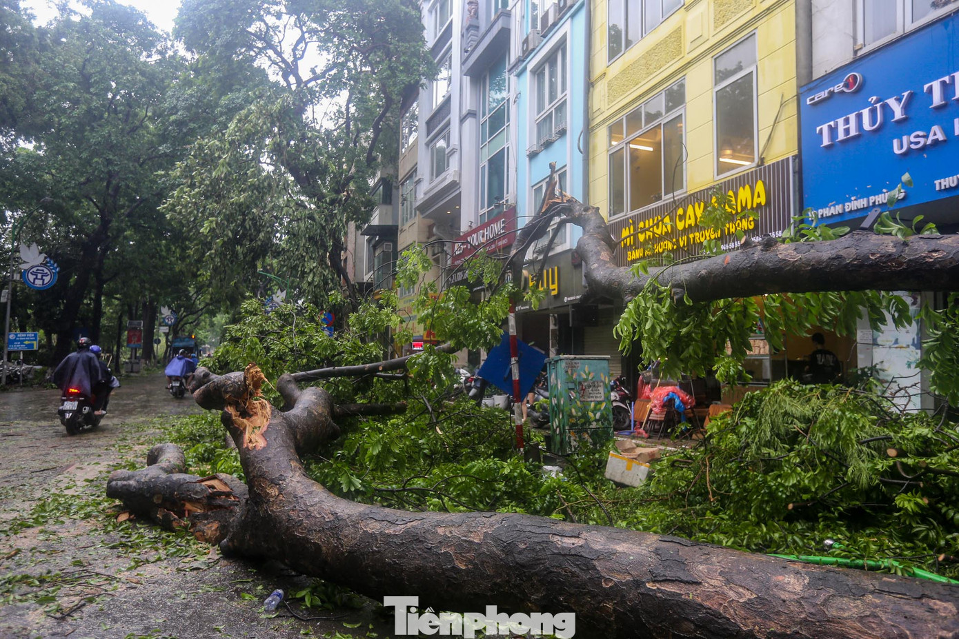 Nhiều ngôi nhà bị chắn bởi cây.