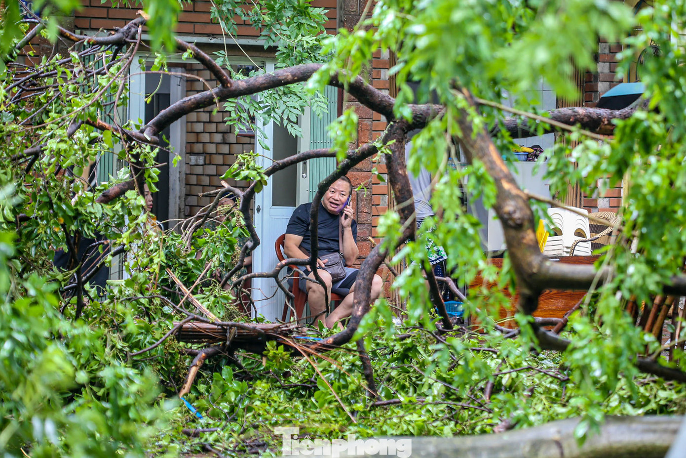 Nhiều nhà tại khu phố bị "bao phủ" bởi cây.