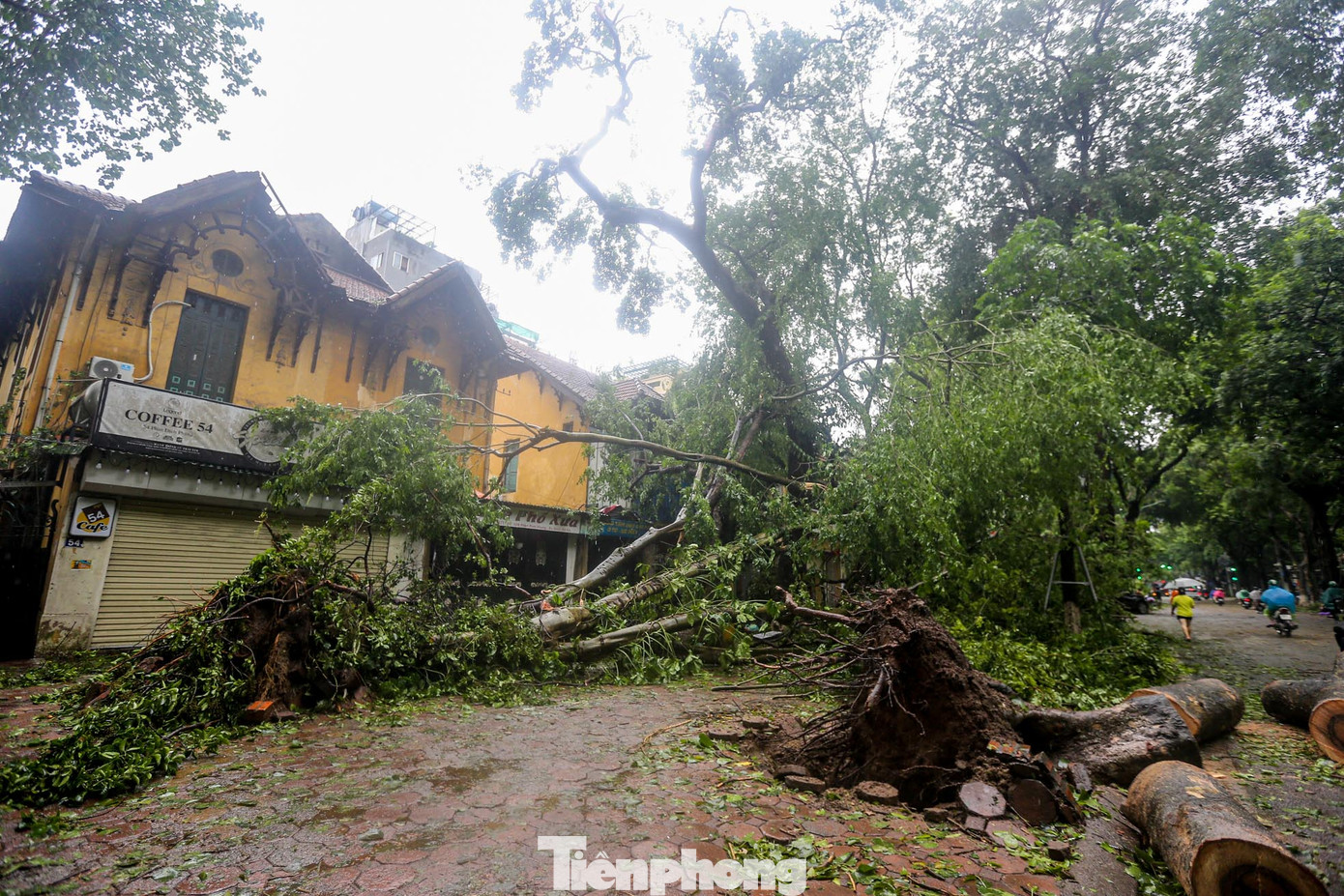 Đường Phan Đình Phùng tan hoang sau khi hứng chịu siêu bão Yagi