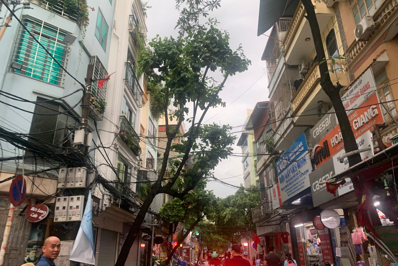 Nhiều cây nghiêng, sắp đổ khi gặp gió lớn. Nhiều cây nghiêng, sắp đổ khi gặp gió lớn.